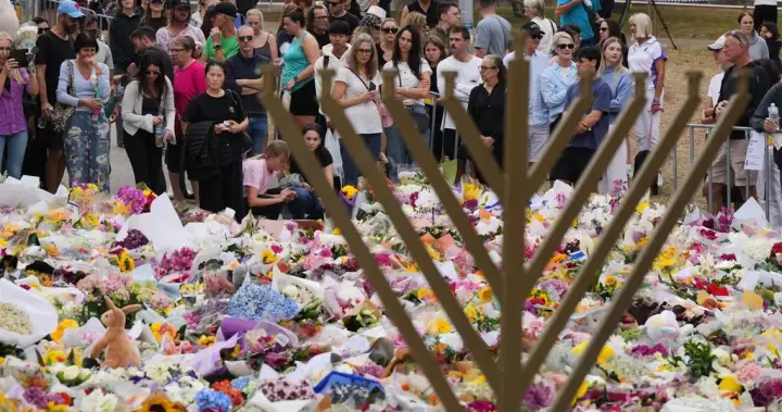 Thousands gather to mark one week since Bondi Beach attack – National