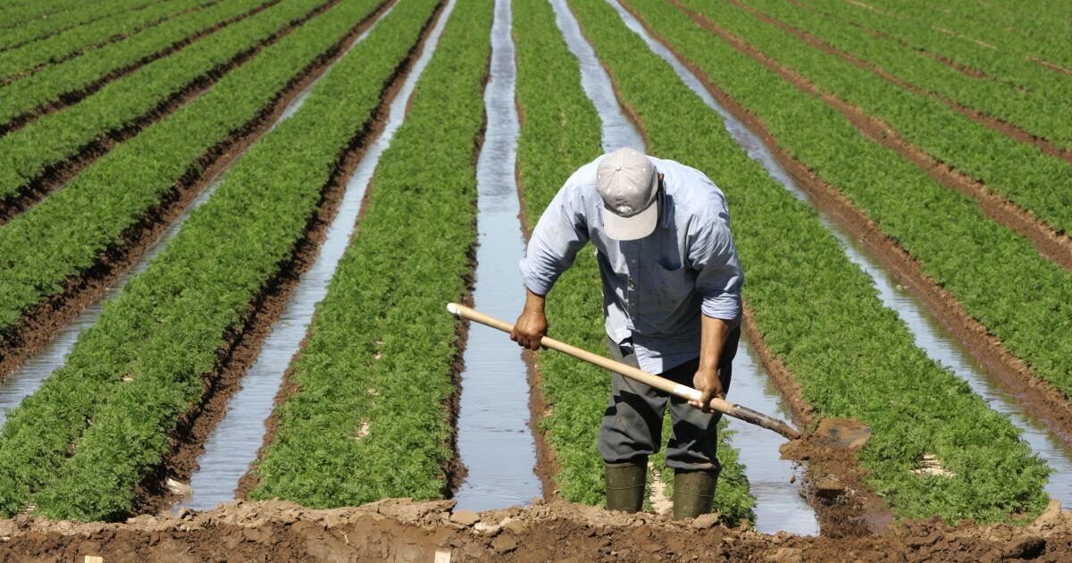 California braces for drought from the fifth La Niña in six years