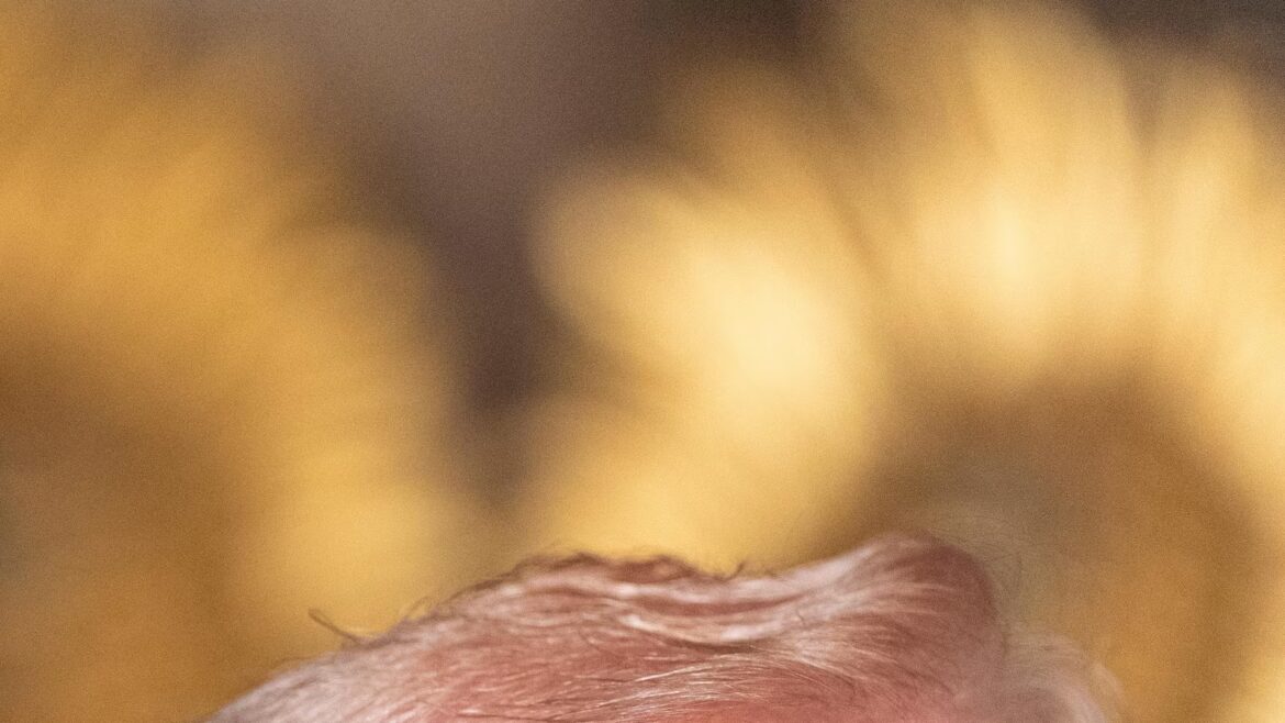 Judge blocks Trump effort to strip security clearance from attorney who represented whistleblowers