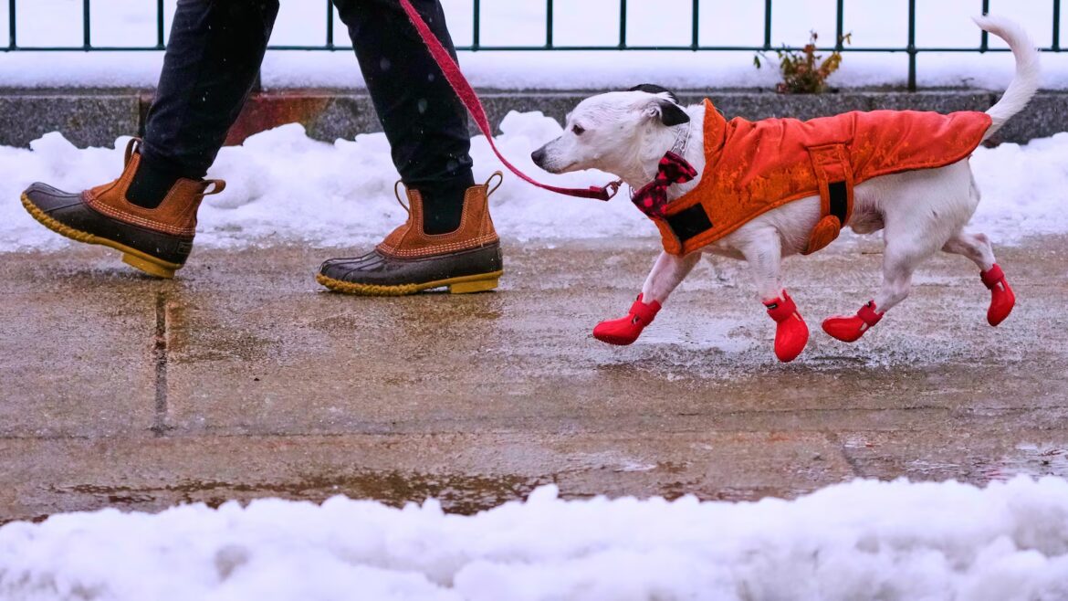 Winter storm packing snow and strong winds to descend on Great Lakes and Northeast