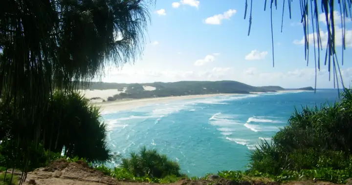 Canadian woman found dead on Australian island surrounded by wild dogs – National