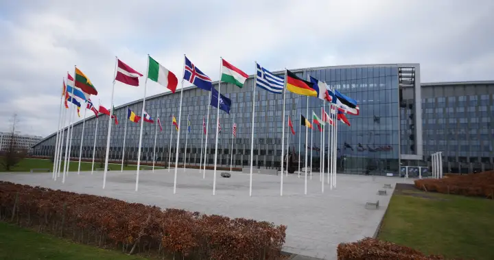 Why a U.S. attack on Greenland would mean the ‘end’ of NATO – National