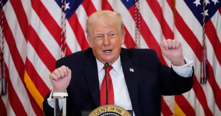 Trump says he may tariff countries that don’t ‘go along’ with Greenland plans – National