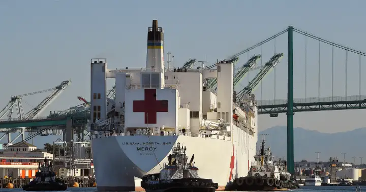 ‘No thank you’: Greenland rejects Trump’s hospital ship offer – National