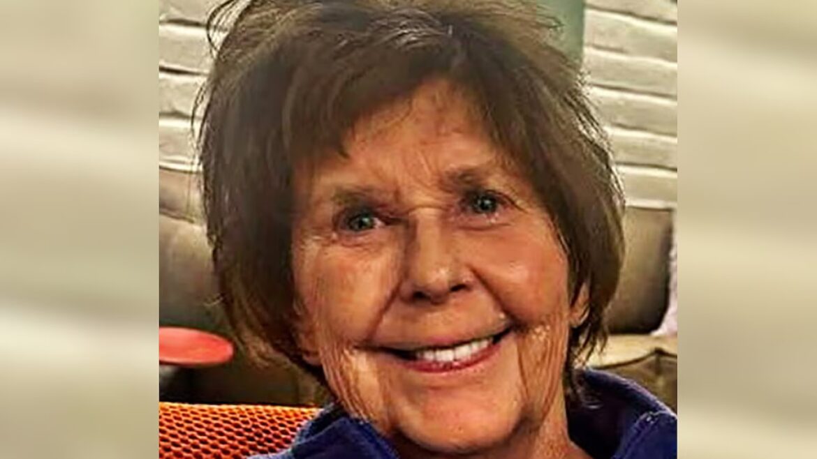 Armchair detectives flood social media as search for Nancy Guthrie continues