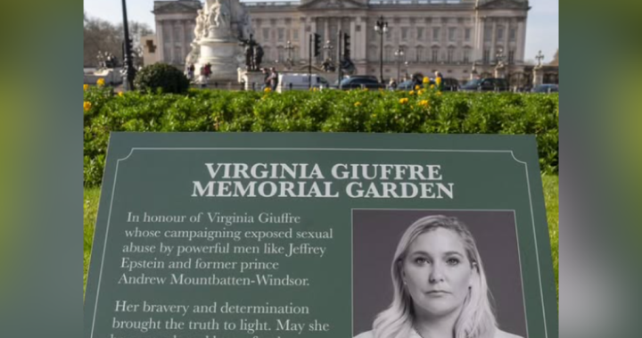 Protestors install Virginia Giuffre memorial plaques in Buckingham Palace garden – National