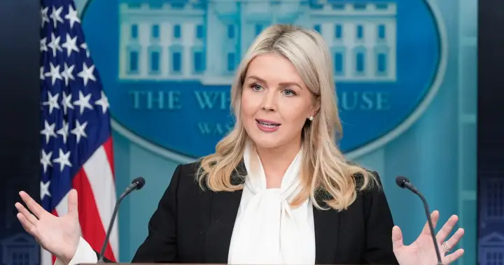 U.S. ‘well on its way’ to controlling Iranian airspace, Leavitt says – National