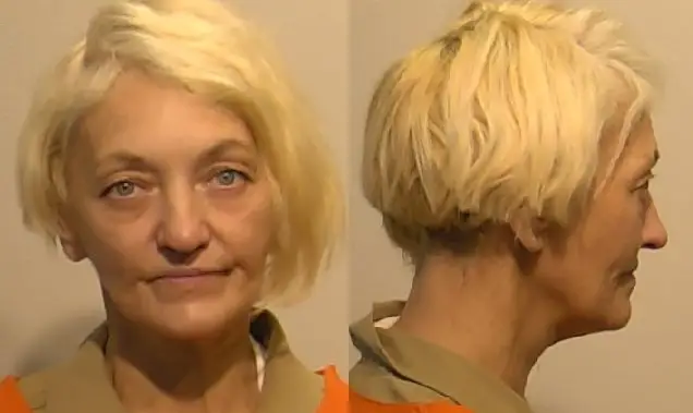 Svetlana Dali, known stowaway, arrested after sneaking onto another flight – National