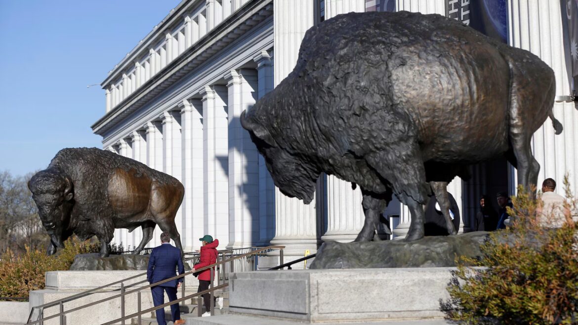 America’s official mammal, the bison, gets a bronze tribute for the country’s 250th birthday