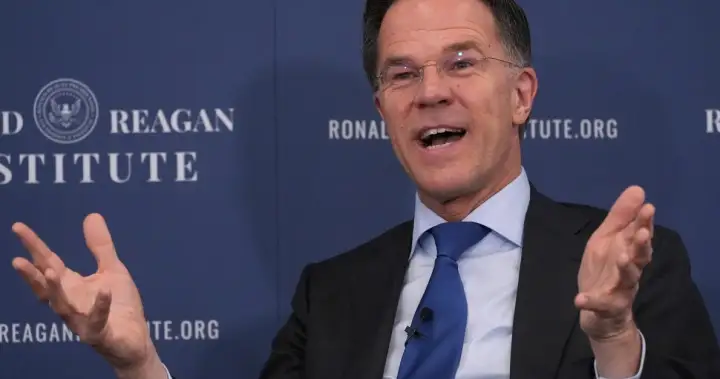 NATO chief says he understands Trump’s ‘disappointment’ with allies on Iran – National