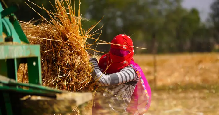 Iran war could push world into a food ‘catastrophe,’ UN agency warns – National