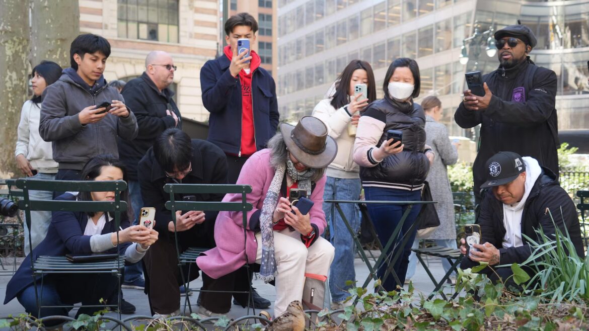 New Yorkers flock to Manhattan park for lovable woodcocks’ bobbing strut