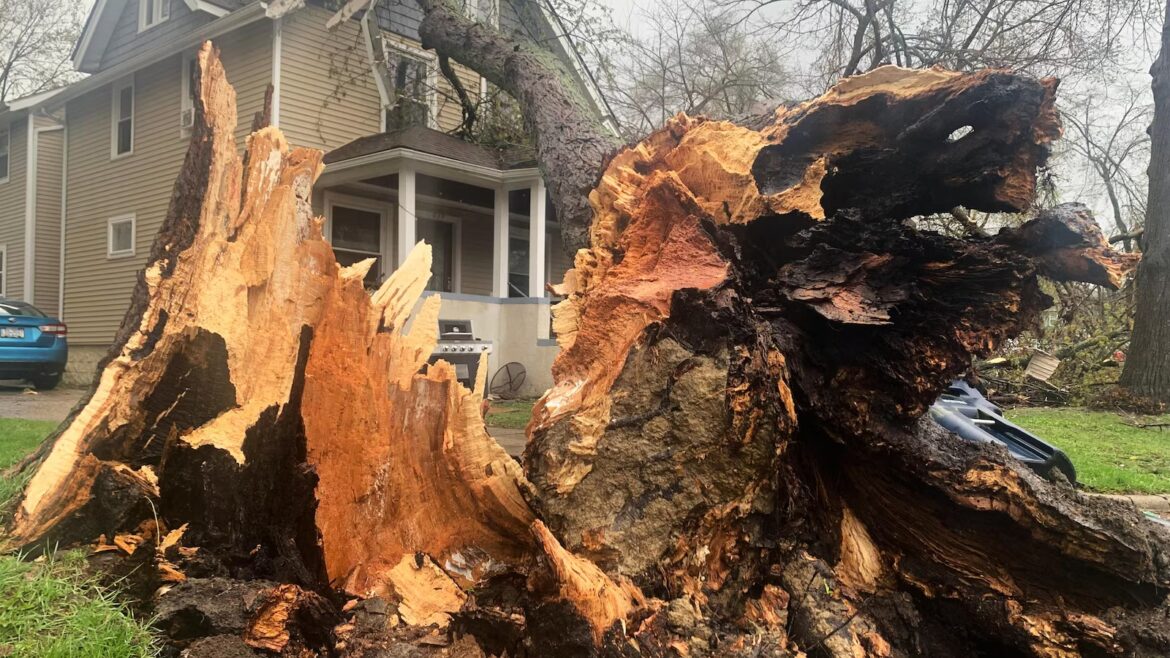 Severe storms continue to produce heavy rain, lightning and flooding across parts of US