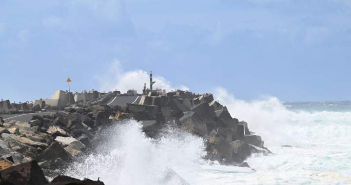 Volunteer rescuers among 3 dead after yacht capsizes off Australian coast – National