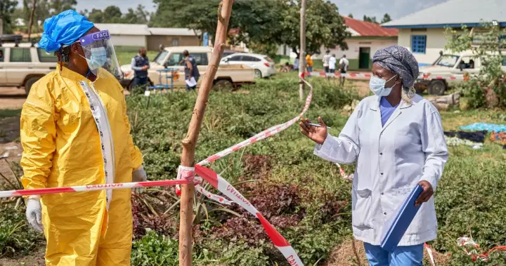 Ebola epidemic scale ‘much larger’ than known cases, WHO head says – National