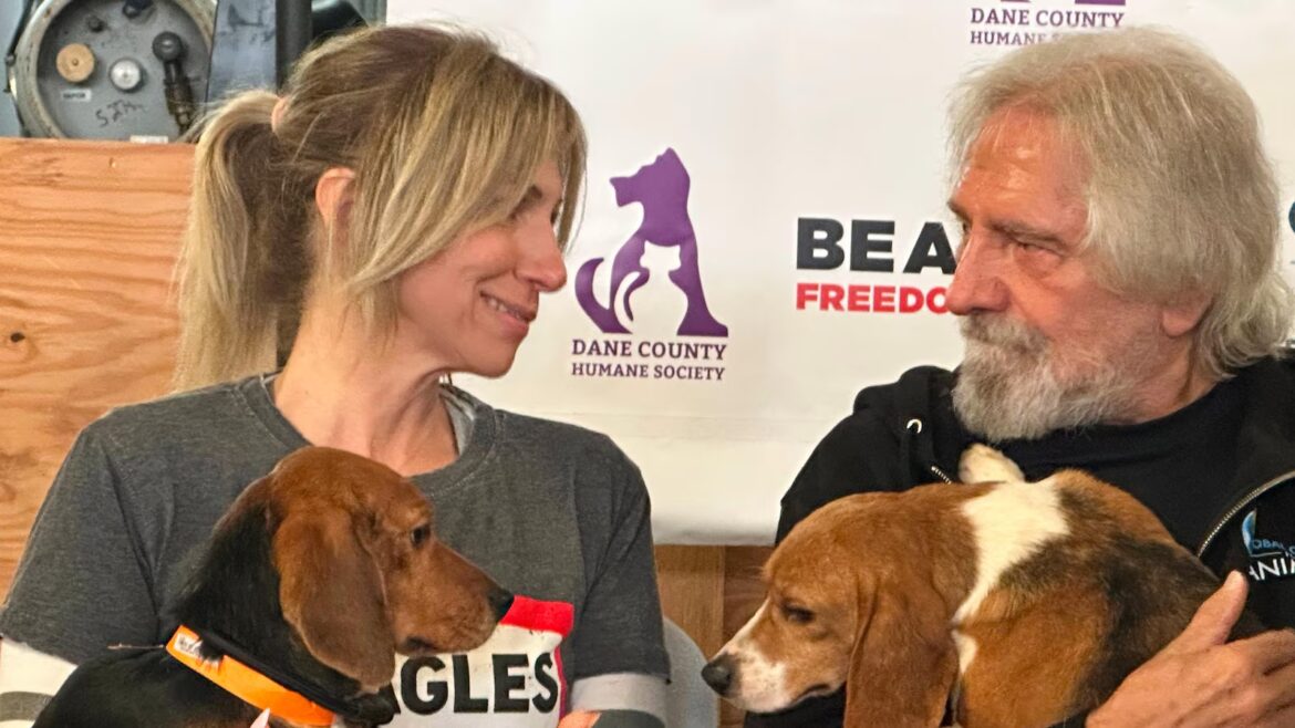 Black Sabbath bass player, Debbie Gibson praise effort to find new homes for beagles