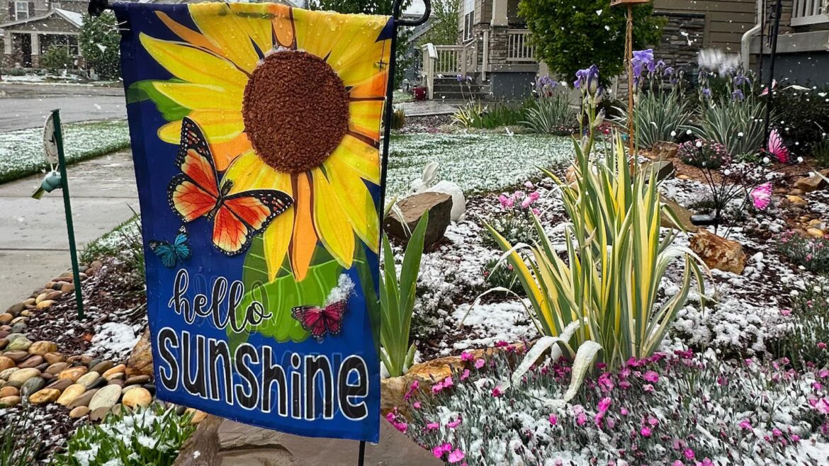 Spring plans meet snow in Denver as a late storm could be the season’s biggest
