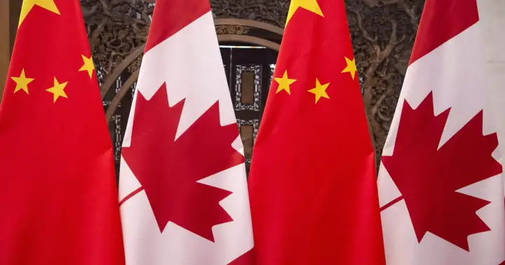 China slaps 73.5% preliminary tariff on pea starch from Canada