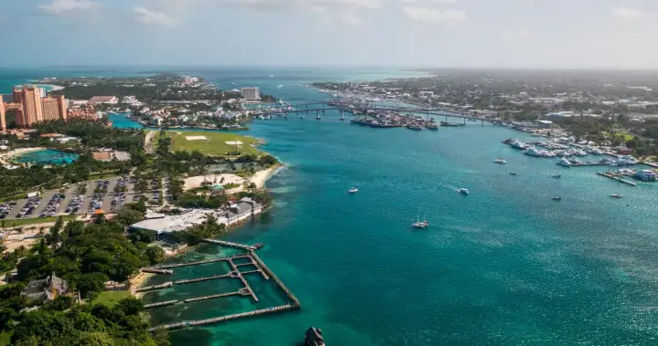 5 American cruise passengers arrested after port fight in Bahamas – National