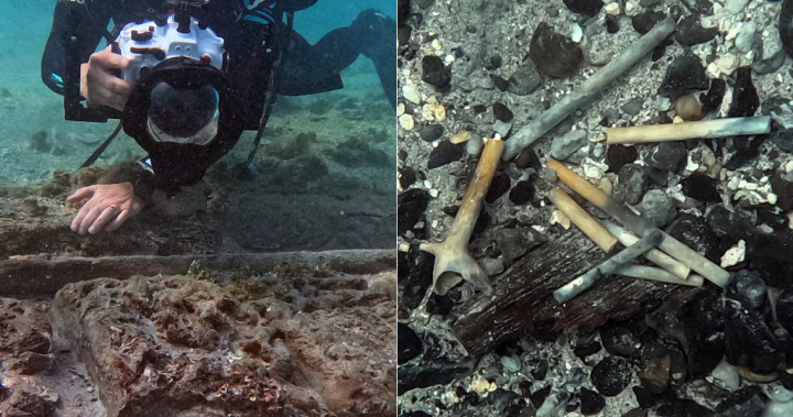 Shipwrecks discovered from ‘Golden Age of Piracy’ in 18th century Bahamas – National