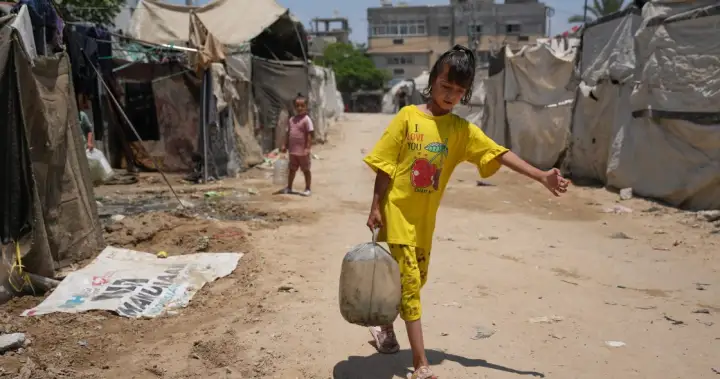 Canadian aid in Gaza squandered by Israeli actions, UN says – National