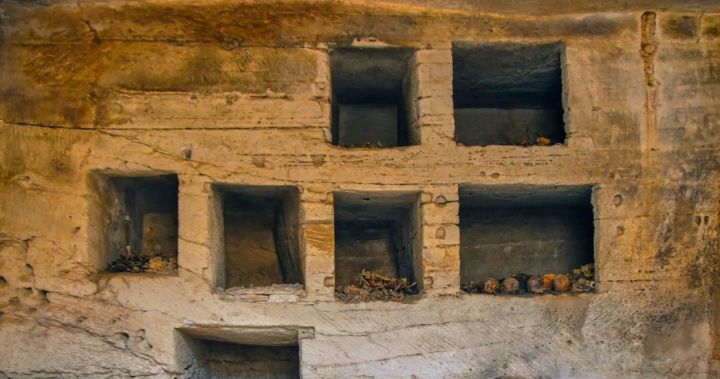 Egypt uncovers lost Byzantine-era city in the western desert – National