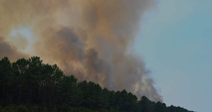 France order 4,000 more evacuations as fires ravage southwest Europe – National