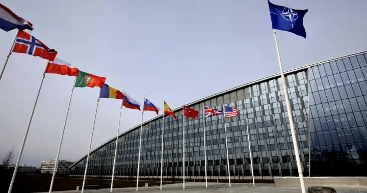 Minister vows probe of ‘quite serious’ charges against Canadian NATO intern – National