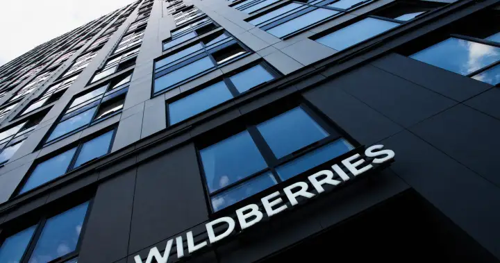 Why Ukraine struck Wildberries, Russia’s largest online marketplace – National