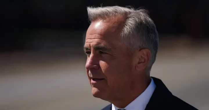 Carney says Canada involved ‘from the start’ in NATO intern spying case – National