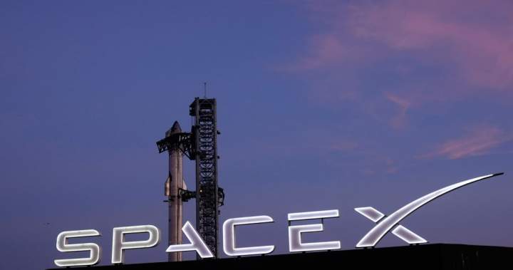 SpaceX stock sinks after first ever earnings revealed big AI spending plans – National